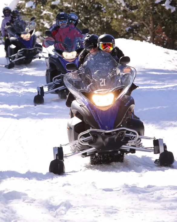 Home - Montgarri Outdoor  Motos de nieve, trineos de perros, raquetas en  Baqueira Beret